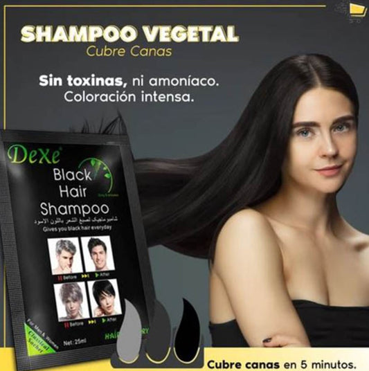 SHAMPOO CUBRE CANAS H&H®